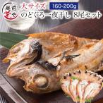 のどぐろ 魚 干物  160-200g×8枚 セット ノドグロ 干物セット 無添加 一夜干し魚 ((冷凍)) プレゼント ギフト