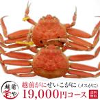 越前ガニ かに カニ セイコ 香箱 24,000円コース（2杯/3杯/4杯/5杯） ((冷蔵))