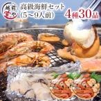 海鮮 4種 30品 (約5-9人前) ホタテ 牡蠣 赤エビ サーモン bbq プレゼント ギフト バーベキュー 鍋 海鮮鍋 ((冷凍)) ポイント利用