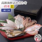 高級 干物 お重 一段重 越前漆器 魚 干物 お取り寄せ 一夜干し魚 ((冷凍)) プレゼント ギフト 内祝い お返し 出産 風呂敷無料