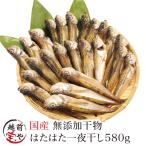 干物 ハタハタ 580g はたはた 鰰 ハタハタ一夜干し 訳あり 一夜干し魚 ((冷凍))