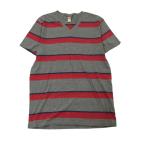 2307F-048 メンズ HOLLISTER ホリスター グレー 半袖Tシャツ S 【送料一律！800円】