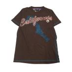 2404F-045 メンズ TOMMY HILF