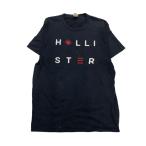 2506F-179 メンズ HOLLISTER ホリスター ネイビー 半袖Tシャツ L 【送料一律！800円】