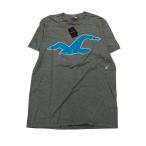 2508F-049 メンズ HOLLISTER ホリスター グレー 半袖Tシャツ S 【送料一律！800円】