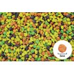 えとぴりかプレミアムペレットミディアム10％（M10）4.5kg レギュラータイプ インコ 鳥 餌 ペレット 現在賞味期限24/01/12