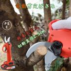 電動 剪定ばさみ 枝切り剪定ばさみ 電動 パワフル 36V 48V 充電式 コードレス 軽量 プロフェッショナルコードレス 切断直径25mm 園芸用品