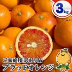 b Lad orange moro3kg дом для Ehime префектура . мир остров производство размер случайный размер включая 3kg коробка покупка есть перевод редкий mi can 