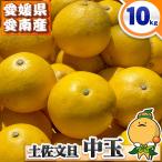 \愛媛の中玉文旦/ 訳あり 土佐文旦 中玉サイズ 10kg 愛媛県 愛南町産 自宅用 家庭用 箱買い あいなん 土佐 文旦 とさ ぶんたん 10キロ