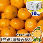 特選 愛媛みかん サイズ込み 10kg ご家庭用 温州みかん 吟味柑
