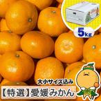  специальный отбор Ehime мандарин размер включая 5kg. для бытового использования мандарин уншиу . тест .