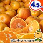 pon can 4.5kg дом для Ehime префектура производство . мир остров размер случайный размер включая 4.5 kilo коробка покупка есть перевод . мир остров Ehime мандарин. предубеждение королевство 