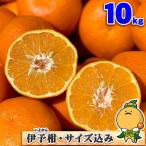 愛媛県産 いよかん 大小サイズ込み 10kg 家庭用 自宅用 訳あり 愛媛みかん 送料無料 箱買い 伊予柑 10キロ