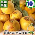 可哀そうな 土佐文旦 特に訳あり 中玉 2L〜M サイズ 10kg サイズ混合 自宅用 家庭用 超 訳あり とさぶんたん 箱買い 10キロ