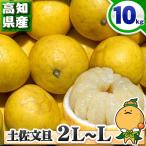 高知県産 訳あり 土佐文旦 中玉 L 〜 2L サイズ 10kg 自宅用 ご家庭用 とさぶんたん 本場の 文旦 を 箱買い 愛媛 みかん の こだわり王国 10キロ