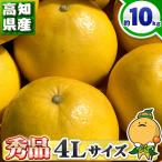 高知県産 土佐文旦 贈答用・秀品 4Lサイズ 大玉 約10kg 贈り物に最適 とさぶんたん 本場の 文旦 を 箱買い 10キロ
