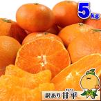 愛媛県西宇和産 訳あり 甘平（かんぺい）５ｋｇ【送料無料※一部地域を除く】 家庭用 自宅用 ５キロ 箱買い