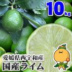 訳あり ライム 10kg 愛媛県産 ご家庭用 サイズおまかせ 超希少な国産ライム １０キロ