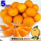 愛媛 まどんな ご家庭用 5kg サイズおまかせ 愛媛県産 愛媛試果28号 愛果 みかん 箱買い 自宅用 ５キロ
