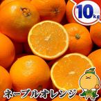 愛媛県産 訳あり ネーブル 10kg【送料無料※一部地域を除く】 白柳 清家 ネーブル オレンジ 家庭用 自宅用 10キロ 箱買い