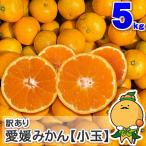 訳あり 愛媛みかん 小玉サイズ 5kg 愛媛県産 自宅用 家庭用 訳あり 箱買い 小粒 早生 蜜柑 5キロ