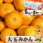  есть перевод Ehime мандарин большой шар размер 5kg×2 коробка комплект для бытового использования бесплатная доставка 