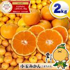 ���ʂ݂��� ���܂���� �������p 2kg ���Q���Y ���� �݂��� �ƒ�p �󂠂� ���Q�݂��� �������� �v�` ���� 2S 3S ������ ���� ���B ���� �승 20�� SS 2�L��