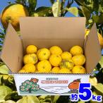  Ehime префектура производство ..5kg для бытового использования есть перевод размер случайный смешивание бесплатная доставка коробка покупка дом для для бизнеса .. фрукты плоды кожа реальный Ehime . мир остров . север Hachiman . местного производства yuzu 5 kilo 