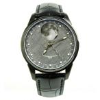 シャウボーグ グランド パーペチュアルムーン メテオライト MOON-METEORITE-PVD 腕時計 メンズ SCHAUMBURG グレー系