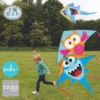 Scratch スクラッチ カイト シャーク＆オウル ~ 3歳、4歳の男の子、女の子の誕生日に人気。ベルギー生まれのScratch スクラッチのスカイカイト（凧・たこ）2個セ