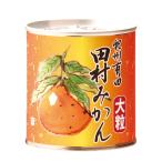 小南農園 紀州有田 田村みかん 缶詰 大粒(295g)×24個