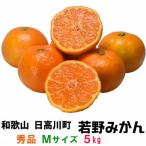 ( предварительный заказ )[.. мандарин ]5kg* превосходящий товар *M размер ( тест ... глубокий . есть ... повторный покупатель появляются один за другим ).. Wakayama префектура день высота уезд день высота река блок ( старый река сторона блок ). .. производство Unshu mi can 