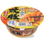 徳島製粉　金ちゃん飯店焼豚ラーメ