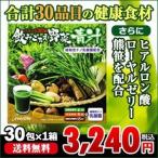 ショッピング青汁 飲みごたえ野菜青汁30包