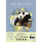 またね、尊いパンダたち。−旅に出たアドベンチャーワールドの浜家