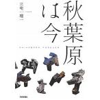  Akihabara. сейчас 