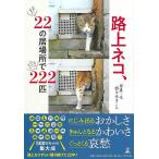 路上ネコ、２２の居場所で２２２匹