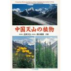  China небо гора. растения 