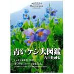  синий kesi большой иллюстрированная книга 