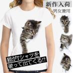 Tシャツ レディース イラスト 可愛い 3D 猫 Tシャツ 半袖 男女兼用 薄手 ねこ 白 レディース 面白 おもしろ かわいい トリックアート