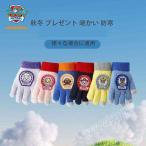 パウパトロール (Paw Patrol) キッズ グッズ 手袋 子供 男の子 女の子 おしゃれ 雪遊び 子ども ジュニア かわいい 5本指 誕生日 秋冬 プレゼント 暖かい 防寒