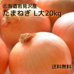 [ предварительный заказ товар ] Hokkaido производство лук репчатый L большой размер 20kg(10kg коробка ×2 коробка )