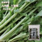  сухой овощи Kyushu производство дайкон лист 40g×3 бесплатная доставка долгое время сохранение обычная температура сухой сухой овощи овощи простой удобный час короткий большой корнеплоды 