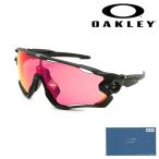 国内正規品 オークリー サングラス OO9290-4831 JAWBREAKER UVカット