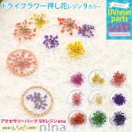 ドライフラワー 押し花 レジン レース 手芸 素材 かわいい ドライフラワー デコパーツ ネックレス レジン 手作り レシピ