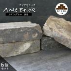 【古煉瓦 アンテブリック 082 シオングレー 6個セット販売】アンティークレンガ 21X10cmサイズ ブロック DIY 外構 エクステリア 庭 花壇 置くだけ おしゃれ