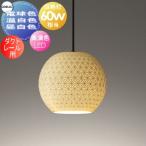 照明 おしゃれ  オーデリック ODELIC   ペンダントライト  ダクトレール用 OP273040LR 電球色 OP273040WR 温白色 OP273040NR 昼白色 ボーンチャイナ 高演色LED