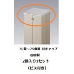 三協アルミ　アルファプロ　ホロー材70〜75角用アルミ柱樹脂キャップ　DIY　アルファ・プロ　2個入り　ビス付き　全6色　