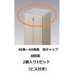 三協アルミ　アルファプロ　ホロー材40～60角用アルミ柱樹脂キャップ　DIY　アルファ・プロ　2個入り　ビス付き　全6色　