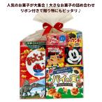 子ども お菓子 詰め合わせ 大きなお菓子の詰め合わせ ワクワクお菓子パック 入園 入学 子どもの日